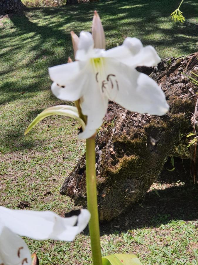 Recanto Das Borboletas São Roque Exterior foto