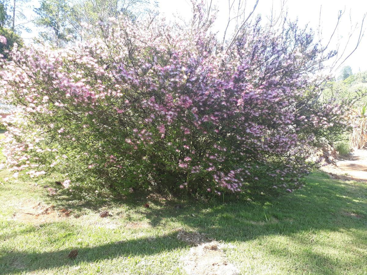 Recanto Das Borboletas São Roque Exterior foto