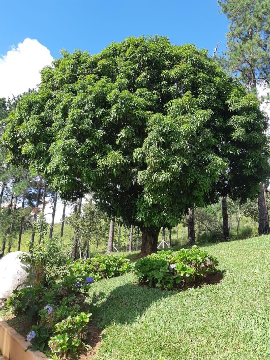 Recanto Das Borboletas São Roque Exterior foto